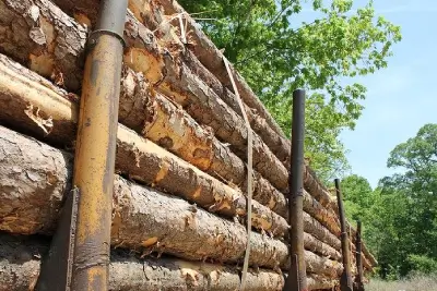 wood-drying