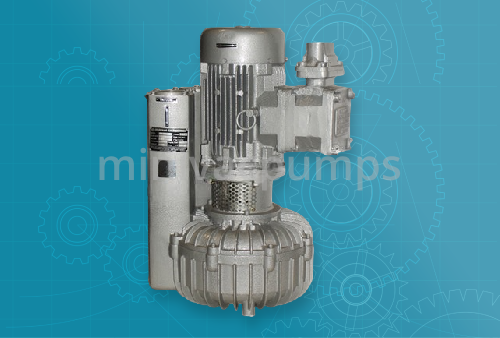 Side Channel Vacuum Pumps and Compressors